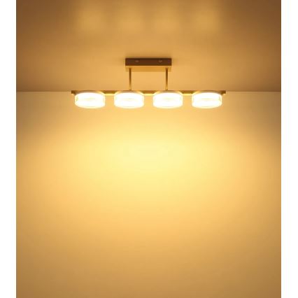 Globo - LED-Deckenleuchte LED/24W/230V 3000K