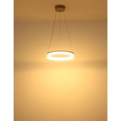 Globo - LED-Pendelleuchte an Kabel, 16 W, 230 V, 3000 K