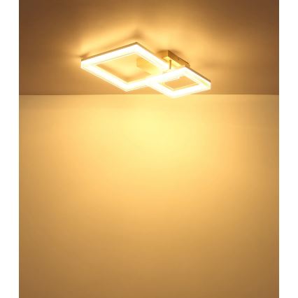 Globo - LED-Deckenleuchte LED/24W/230V 3000K 46,5x62,5 cm