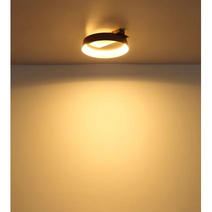 Globo - LED-Deckenleuchte LED/12W/230V 3000K 26x25 cm