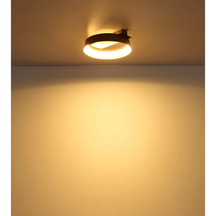 Globo - LED-Deckenleuchte LED/12W/230V 3000K 26x25 cm