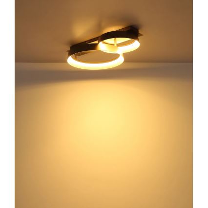 Globo - LED Deckenleuchte LED/24W/230V 3000K 50x35 cm