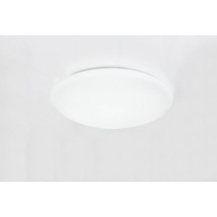 Globo - LED RGBW dimmbare Deckenleuchte LED/48W/230V + LED/10W 2700-6500K Ø 50 cm + Fernbedienung