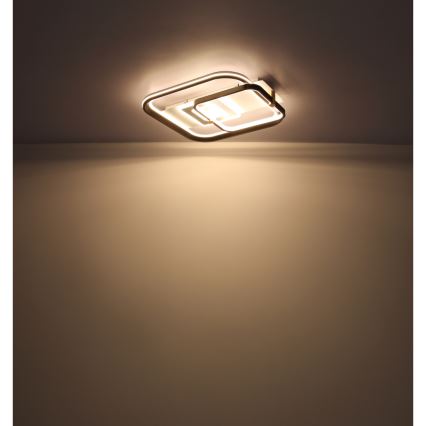 Globo 48459-48 - dimmbare LED-Deckenleuchte ANI LED/48W/230V 2700-6000K 48x52 cm + Fernbedienung