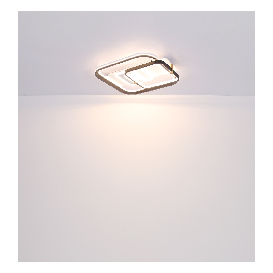 Globo 48459-48 - dimmbare LED-Deckenleuchte ANI LED/48W/230V 2700-6000K 48x52 cm + Fernbedienung