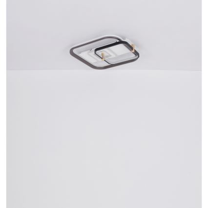 Globo 48459-48 - dimmbare LED-Deckenleuchte ANI LED/48W/230V 2700-6000K 48x52 cm + Fernbedienung