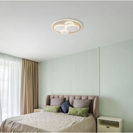 Globo - LED-Deckenleuchte LED/40W/230V 3000K Ø 49 cm