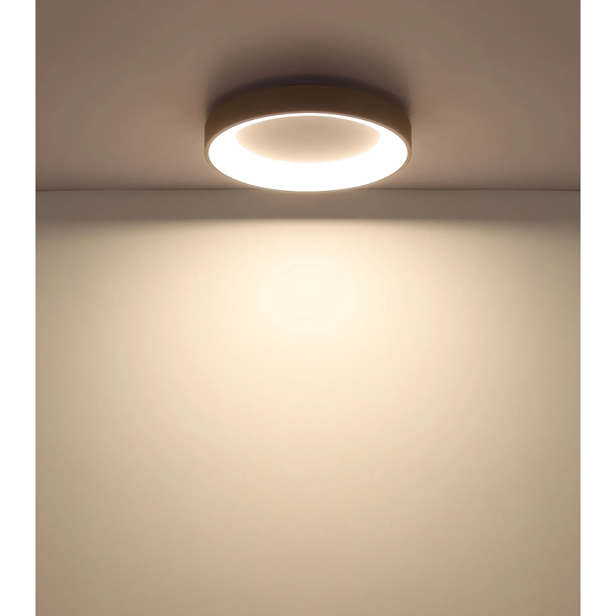 Globo - Dimmbare LED-Deckenleuchte LED/48W/230V 2700-6000K Ø 50 cm + Fernbedienung