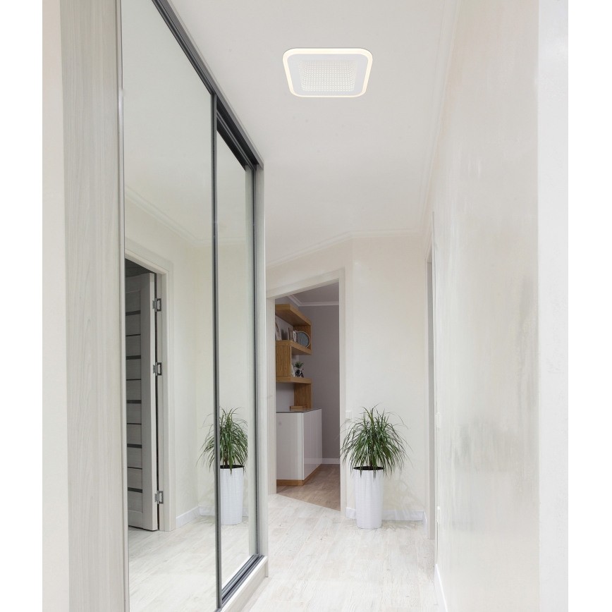 Globo - LED-Deckenleuchte LED/12W/230V 4000K