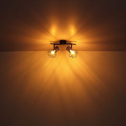 Globo - Deckenstrahler 2xE27/40W/230V