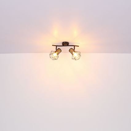 Globo - Deckenstrahler 2xE27/40W/230V