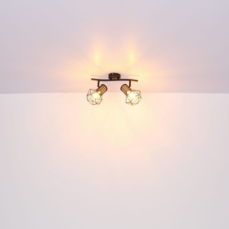 Globo - Deckenstrahler 2xE27/40W/230V