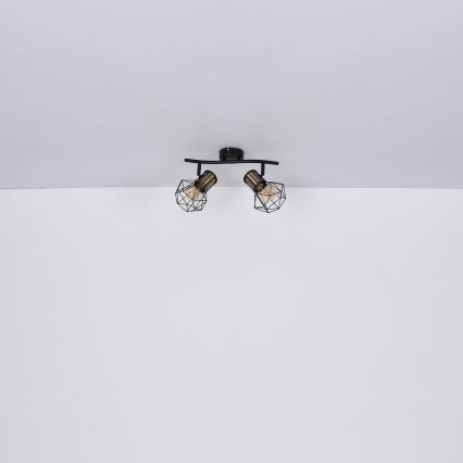 Globo - Deckenstrahler 2xE27/40W/230V