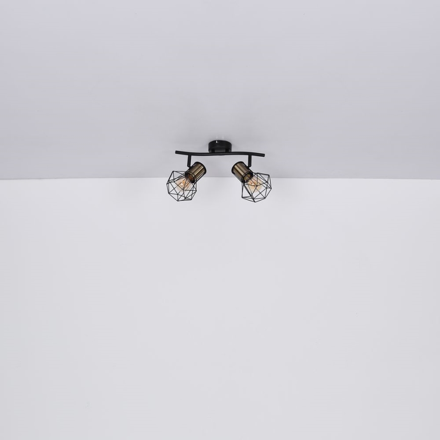 Globo - Deckenstrahler 2xE27/40W/230V