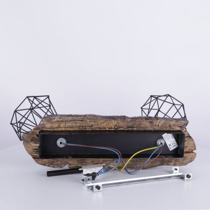 Globo - Deckenstrahler 2xE27/60W/230V