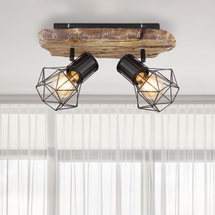 Globo - Deckenstrahler 2xE27/60W/230V