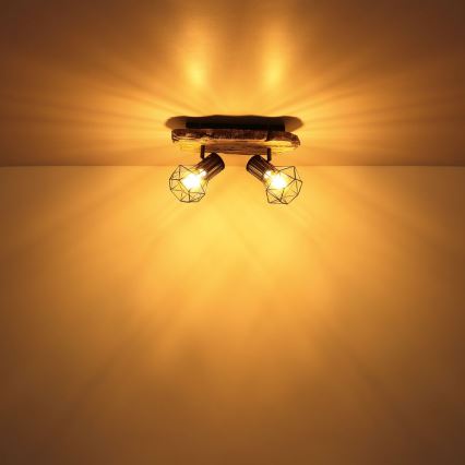 Globo - Deckenstrahler 2xE27/60W/230V