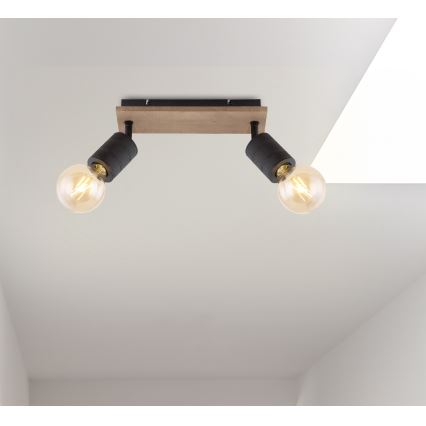 Globo - Strahler 2xE27/60W/230V Pappel