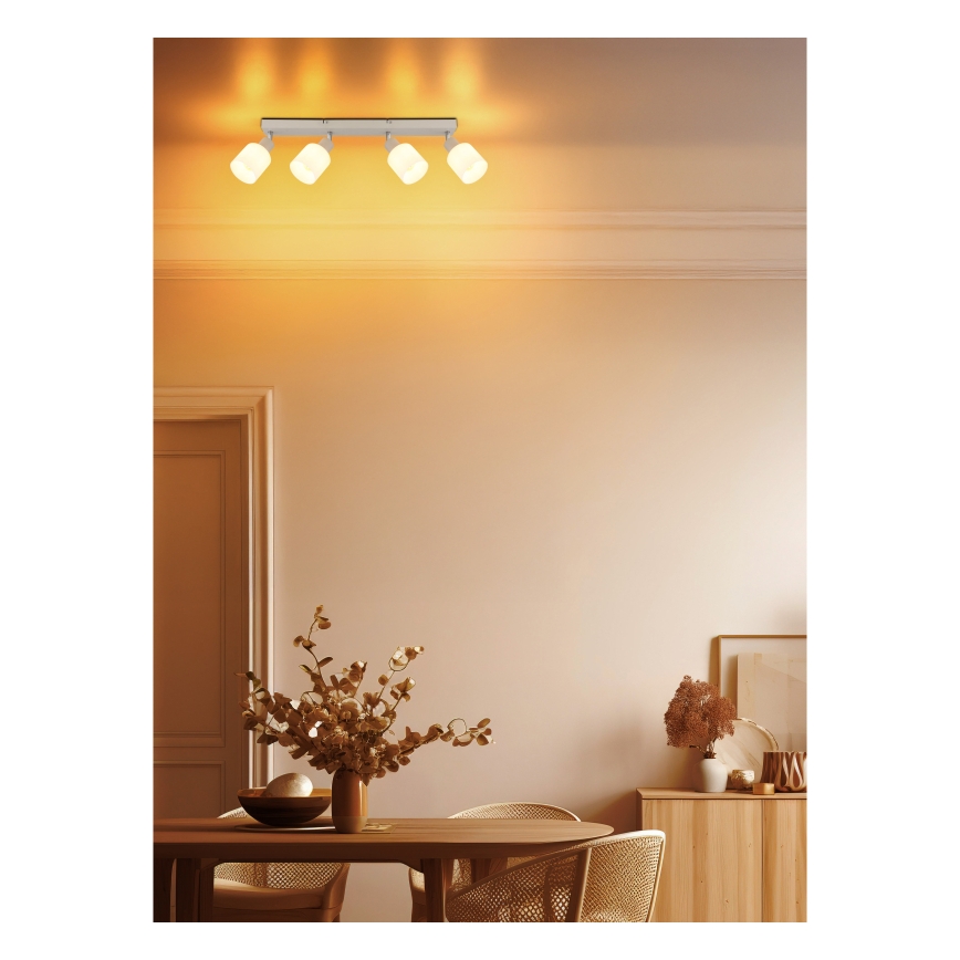 Globo - Deckenstrahler 4xE14/25W/230V