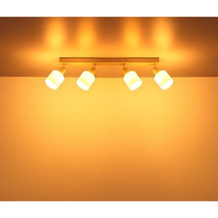 Globo - Deckenstrahler 4xE14/25W/230V