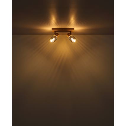 Globo - Strahler 2xE14/40W/230V