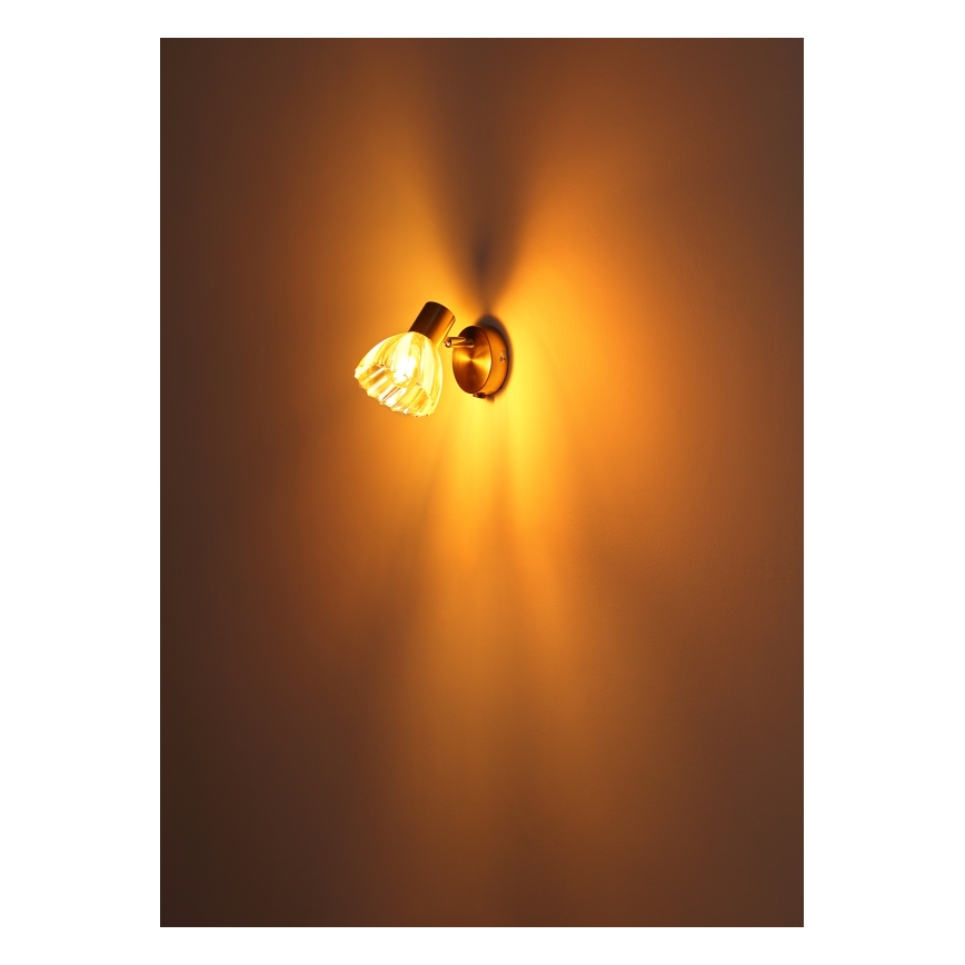Globo - Wandstrahler 1xE14/40W/230V golden