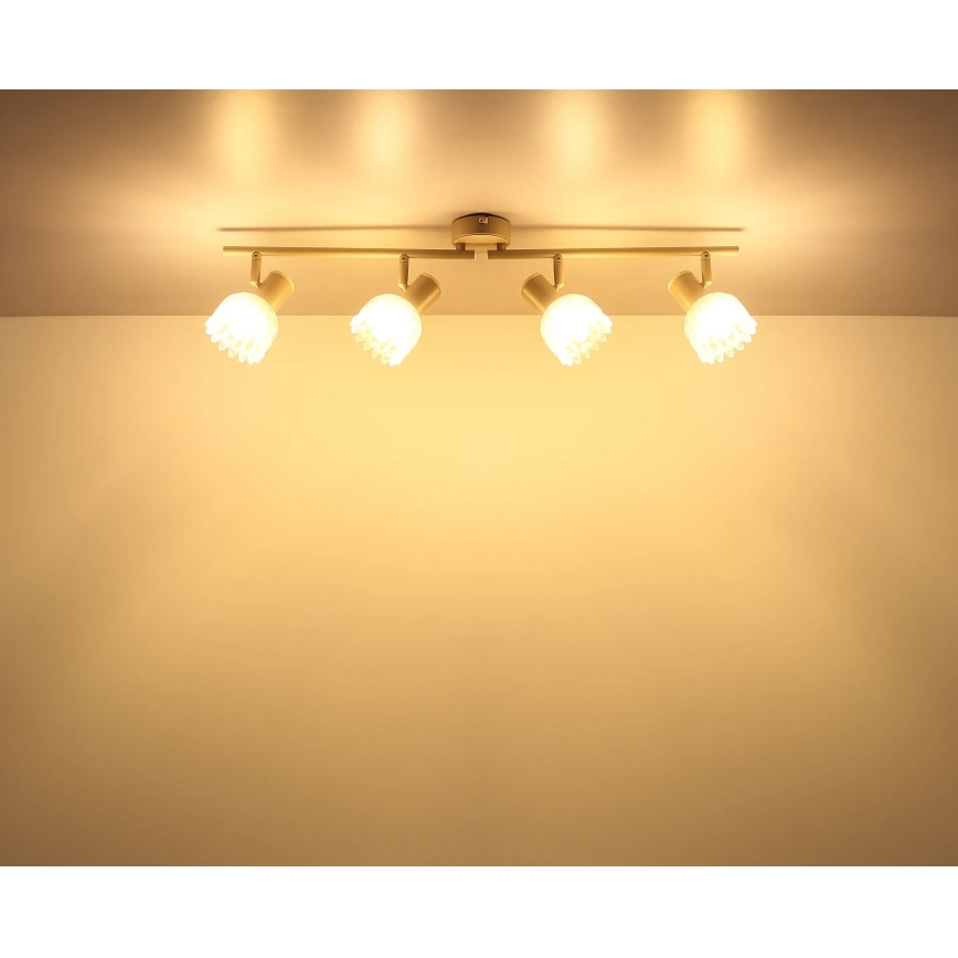 Globo - Spotleuchte 4xE14/40W/230V