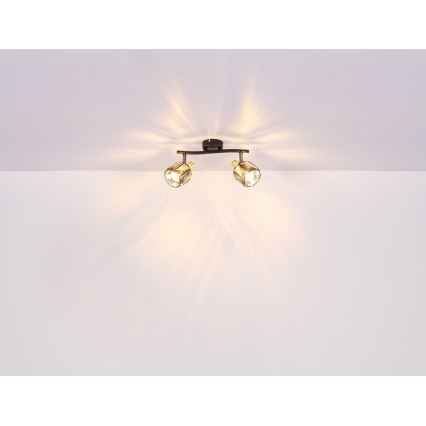 Globo - Deckenstrahler 2xE14/40W/230V