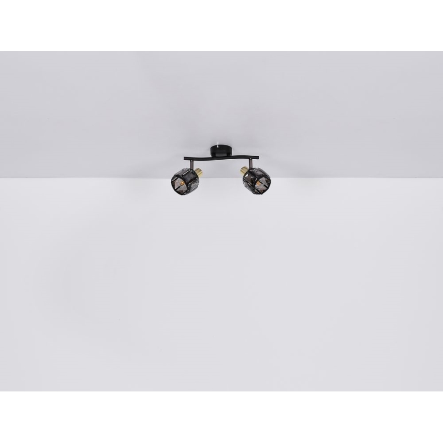 Globo - Deckenstrahler 2xE14/40W/230V