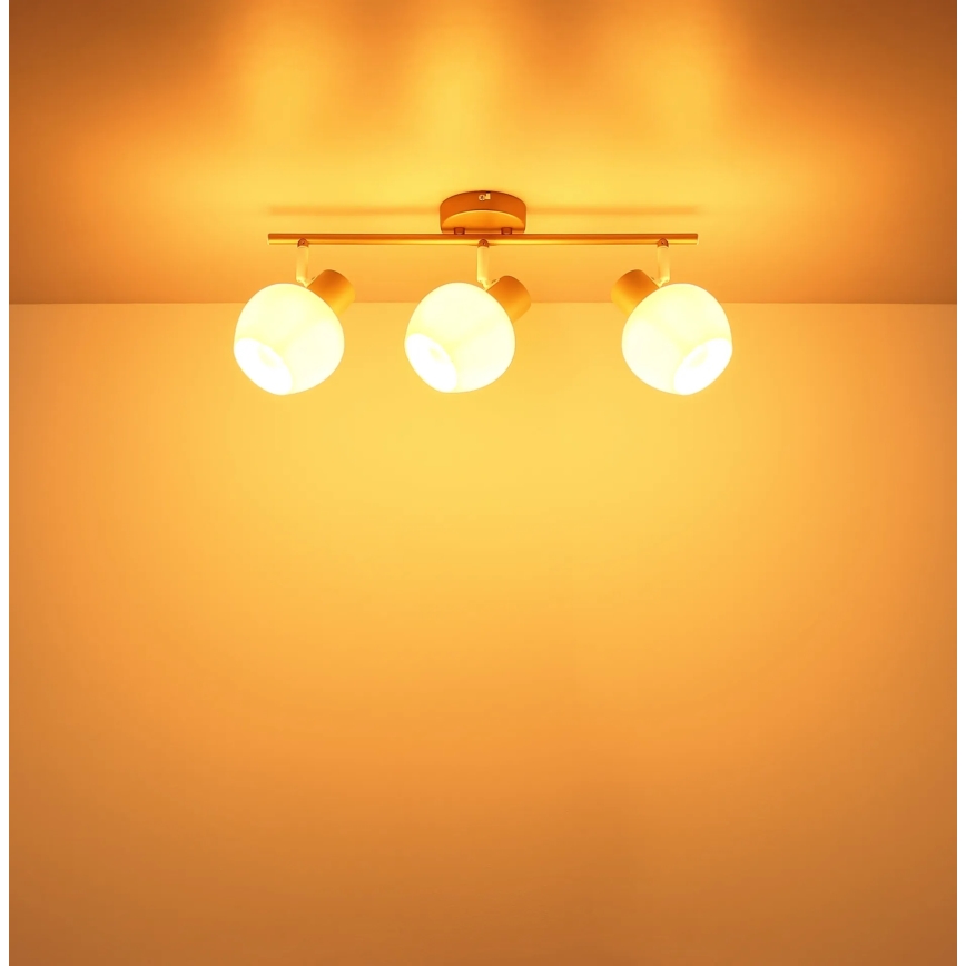 Globo - Spotleuchte 3xE27/40W/230V