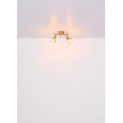 Globo - Strahler 2xE14/40W/230V golden