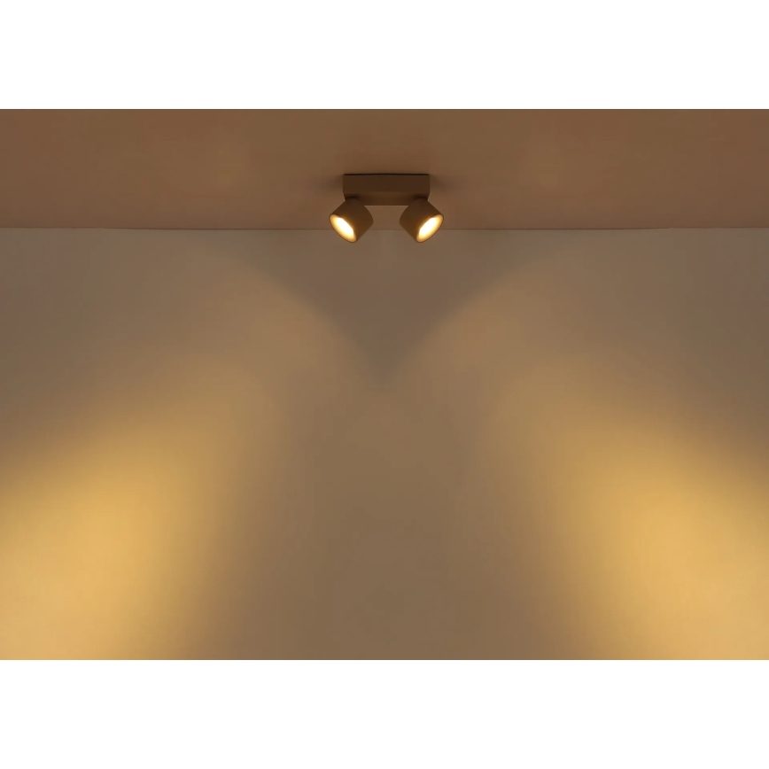 Globo - LED-Deckenstrahler 2xLED/6W/230V