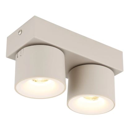 Globo - LED-Deckenstrahler 2xLED/6W/230V