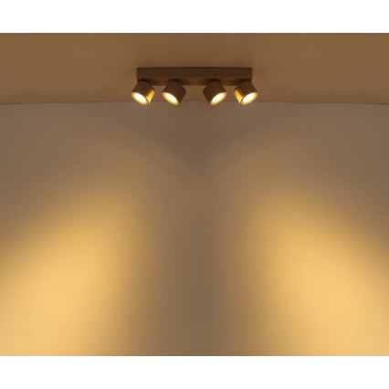 Globo - LED-Spotleuchte 4xLED/6W/230V