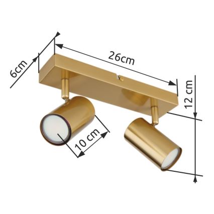 Globo - Strahler 2xGU10/35W/230V golden