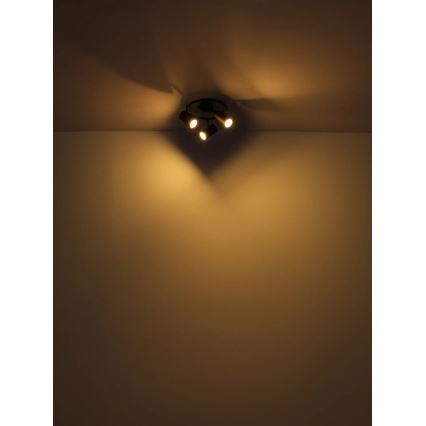 Globo - Strahler 3xGU10/25W/230V schwarz