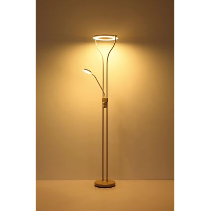 Globo - dimmbare LED-Stehlampe LED/20W/230V + LED/4W 3000K