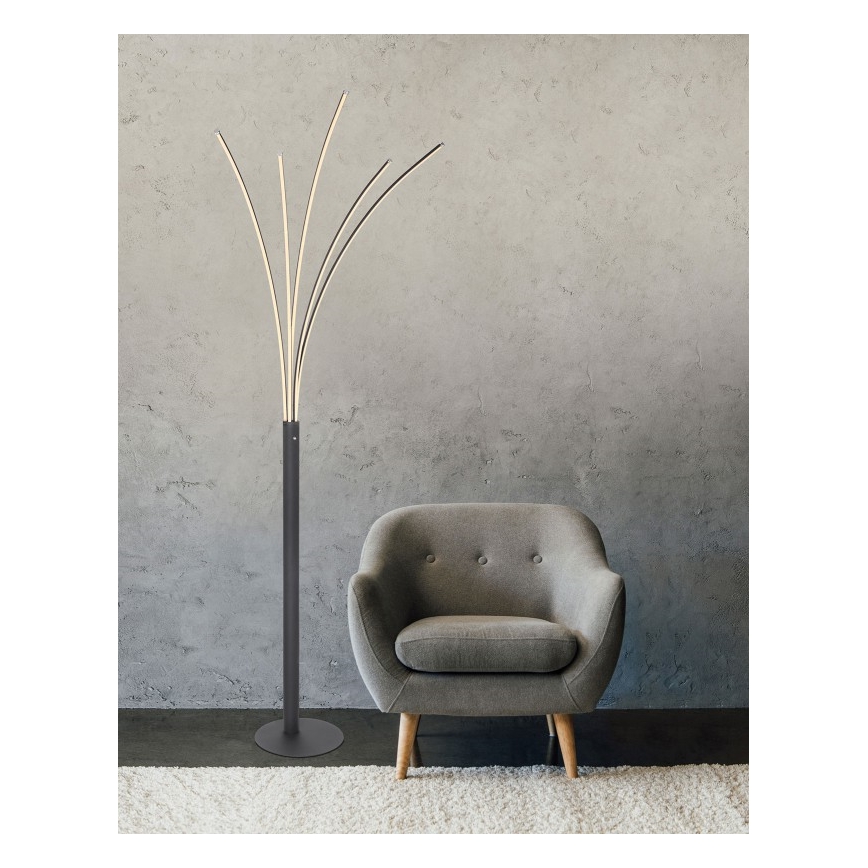 Globo - LED dimmbare Touch-Stehleuchte LED/36W/230V schwarz