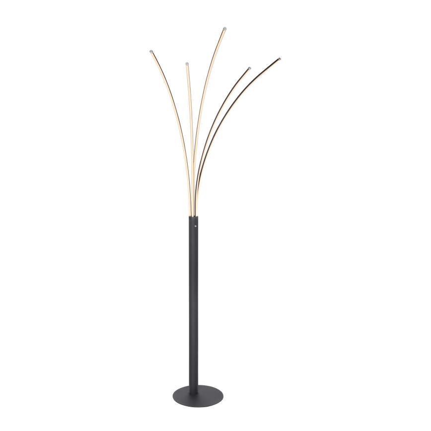 Globo - LED dimmbare Touch-Stehleuchte LED/36W/230V schwarz