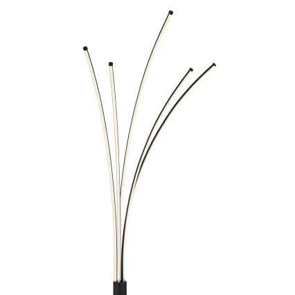 Globo - Dimmbare LED-Stehleuchte LED/36W/230V 3000-6000K Wi-Fi Tuya + Fernbedienung