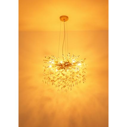 Globo - Kronleuchter an Kabel 8xE14/40W/230V goldfarben