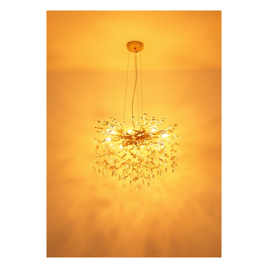 Globo - Kronleuchter an Kabel 8xE14/40W/230V goldfarben