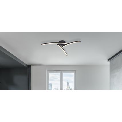 Globo - LED-Aufbauleuchte 3xLED/6W/230V 3000/4000/6000K