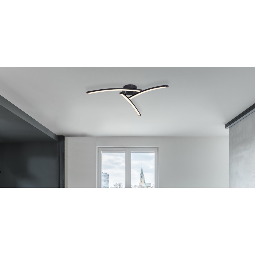 Globo - LED-Aufbauleuchte 3xLED/6W/230V 3000/4000/6000K