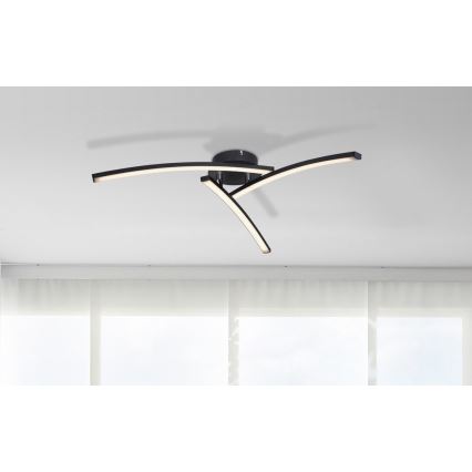 Globo - LED-Aufbauleuchte 3xLED/6W/230V 3000/4000/6000K