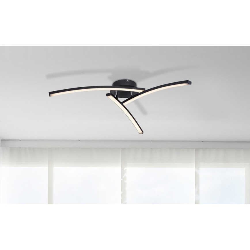 Globo - LED-Aufbauleuchte 3xLED/6W/230V 3000/4000/6000K