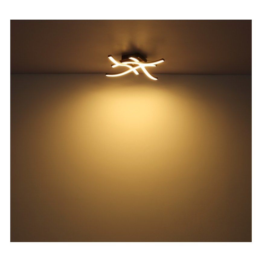 Globo - LED Decken-Kronleuchter 4xLED/5W/230V