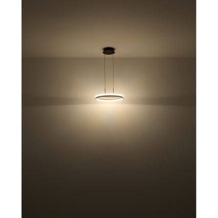 Globo - LED-Pendelleuchte an Kabel, 40 W / 230 V, 3000/4000/6000 K, Ø 39,7 cm