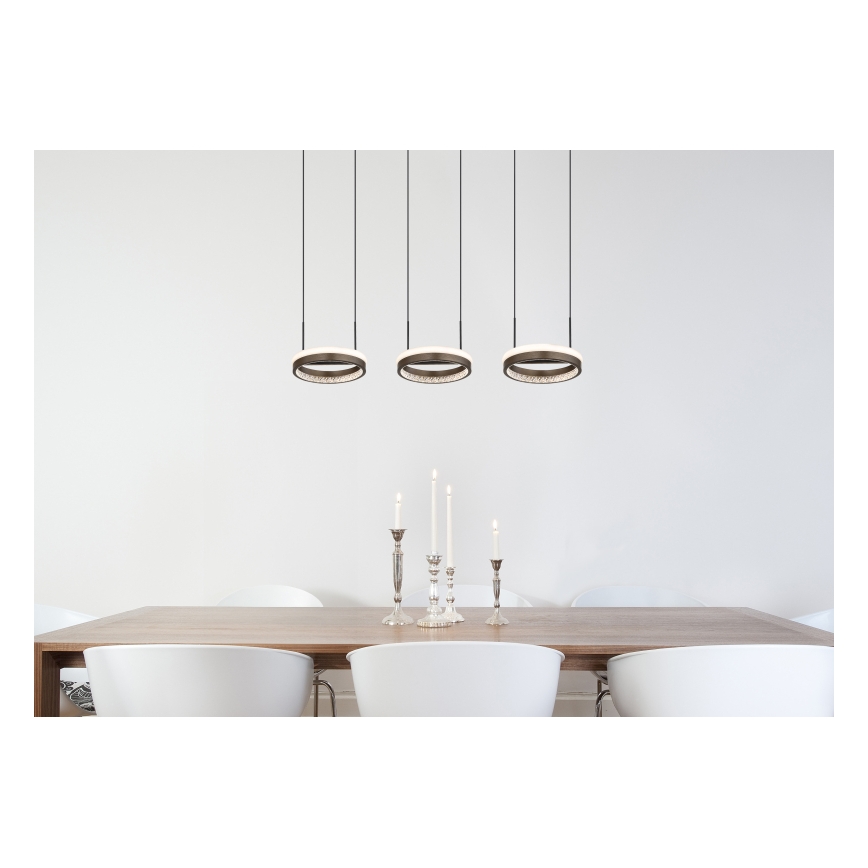 Globo - LED-Pendelleuchte an Kabel LED/40W/230V 3000/4000/6000K