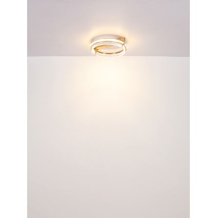 Globo - LED dimmbare Kristall-Deckenleuchte LED/36W/230V 2700K-6000K + Fernbedienung